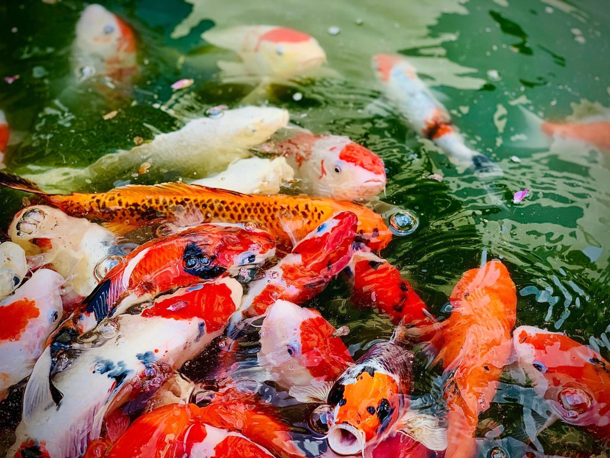 Vangen Hotel Ku-pei-k'ou Dış mekan fotoğraf